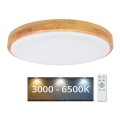 Brilagi - LED Stmívatelné stropní svítidlo PINE LED/24W/230V 3000-6500K + dálkové ovládání