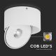 LED Flexibilní bodové svítidlo LED/20W/230V 3000/4000/6400K CRI 90 bílá