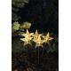 LED Vánoční venkovní dekorace 5xLED/3xAA IP44 hvězdy