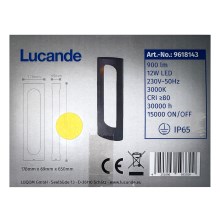 Lucande - LED Venkovní lampa FENTI LED/12W/230V IP65