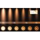 Lucide 31931/24/30 - LED Stmívatelné bodové svítidlo TALA 2xGU10/12W/230V černá