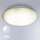 Steinel 068202 - LED Koupelnové stropní svítidlo se senzorem DL Vario Quattro PRO S LED/14W/230V 3000K IP54