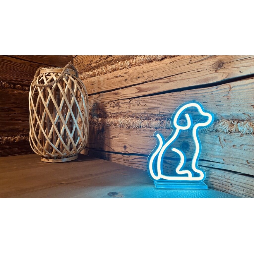 2Kids Toys - LED Neonová stolní dekorace LED/5W/USB pes