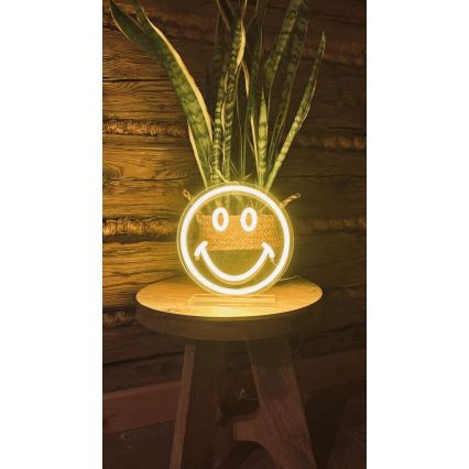 2Kids Toys - LED Neonová stolní dekorace LED/5W/USB smajlík