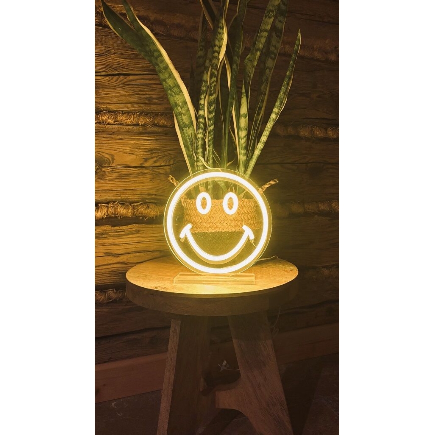 2Kids Toys - LED Neonová stolní dekorace LED/5W/USB smajlík