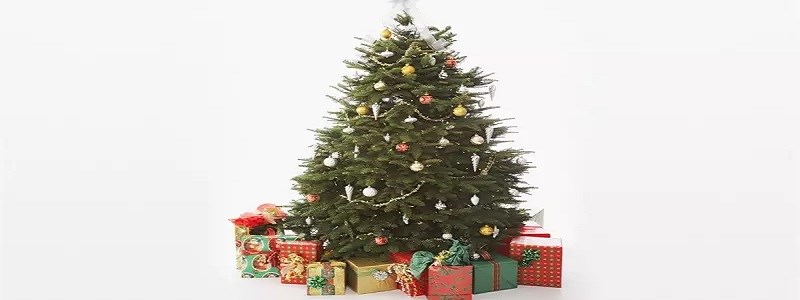 Krásné vánoční stromky