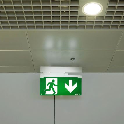 Aigostar - LED Nouzové svítidlo EMERGENCY EXIT LED/3,6W/230V 6500K 500mAh