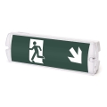 Aigostar - LED Nouzové svítidlo EMERGENCY EXIT LED/4W/230V IP65 6500K 600mAh