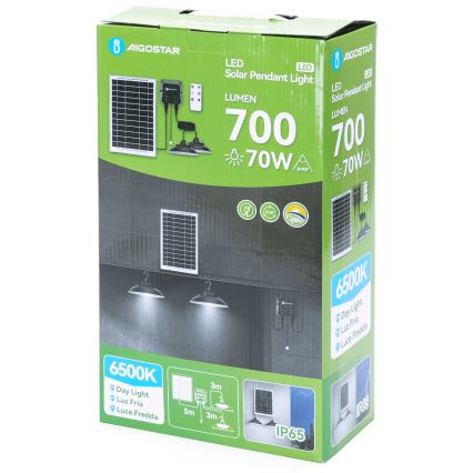 Aigostar - LED Solární lustr 2xLED/35W/12V 6000 mAh 6500K IP65 pr. 15 cm + dálkové ovládání