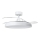 Aigostar - LED Stmívatelné stropní svítidlo s ventilátorem MESH LED/50W/230V 2700-6500K černá + dálkové ovládání