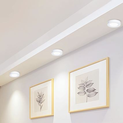 Aigostar - LED Stropní přisazené svítidlo LED/12W/230V pr. 17,4 cm 6500K bílá
