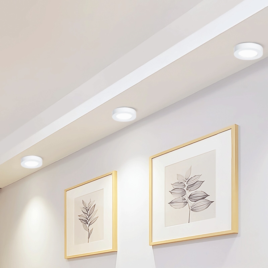 Aigostar - LED Stropní přisazené svítidlo LED/12W/230V pr. 17,4 cm 6500K bílá