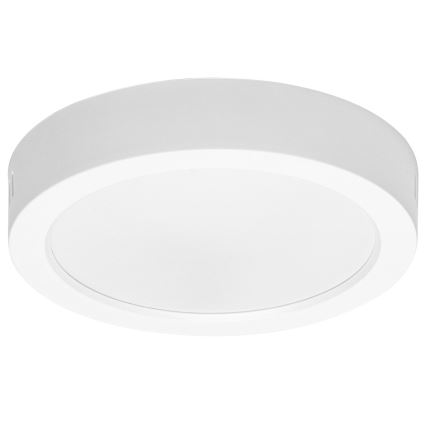 Aigostar - LED Stropní přisazené svítidlo LED/12W/230V pr. 17,4 cm 6500K bílá