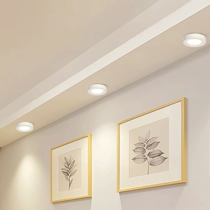 Aigostar - LED Stropní přisazené svítidlo LED/18W/230V pr. 22,6 cm 4000K bílá