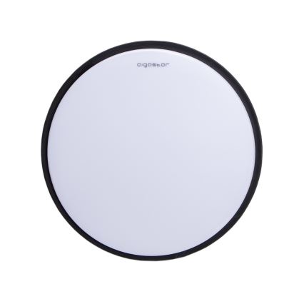 Aigostar - LED Stropní svítidlo LED/12W/230V 3000K pr. 23 cm černá