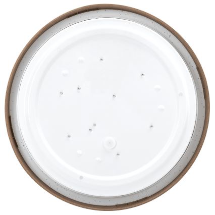 Aigostar - LED Stropní svítidlo LED/12W/230V 3000K pr. 26,3 cm
