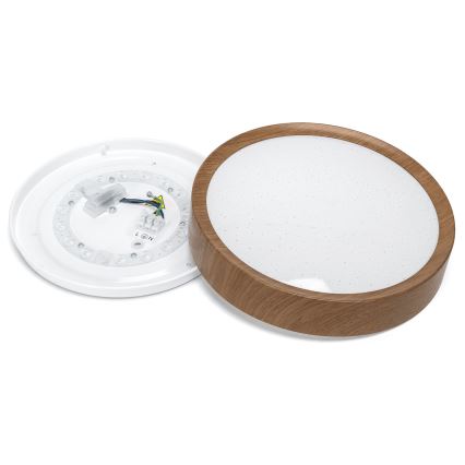 Aigostar - LED Stropní svítidlo LED/12W/230V 3000K pr. 26,3 cm