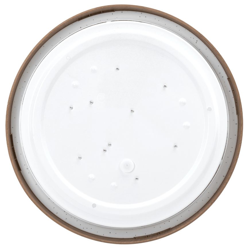 Aigostar - LED Stropní svítidlo LED/12W/230V 6500K pr. 26,3 cm