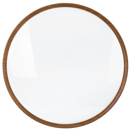 Aigostar - LED Stropní svítidlo LED/36W/230V 6500K pr. 48,1 cm