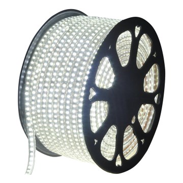 Aigostar - LED Venkovní pásek 50m LED/350W/230V 6500K IP65