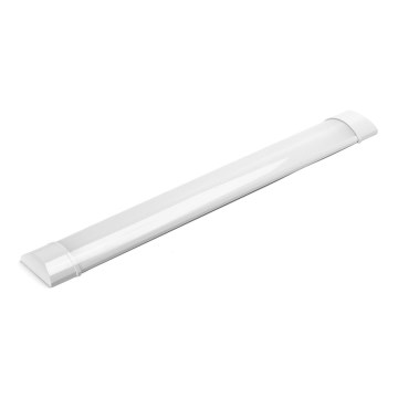 Aigostar - LED Zářivkové svítidlo LED/20W/230V 4000K 60 cm