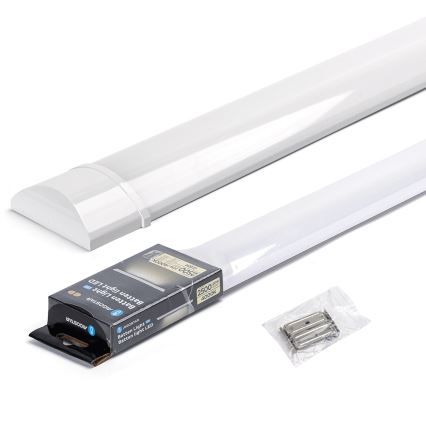 Aigostar - LED Zářivkové svítidlo LED/20W/230V 4000K 60 cm