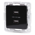 Aigostar - USB napájecí zásuvka bez rámečku 2x USB-A černá