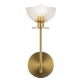 Alora Mood - Nástěnná lampa SYLVIA 1xE14/40W/230V zlatá