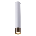 Amplex - Bodové svítidlo 1xGU10/10W/230V bílá/zlatá