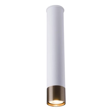 Amplex - Bodové svítidlo 1xGU10/10W/230V bílá/zlatá
