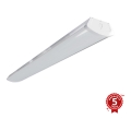 APLED - LED Přisazené svítidlo TROUT LED/36W/230V 4000K