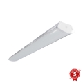 APLED - LED Přisazené svítidlo TROUT LED/72W/230V 4000K