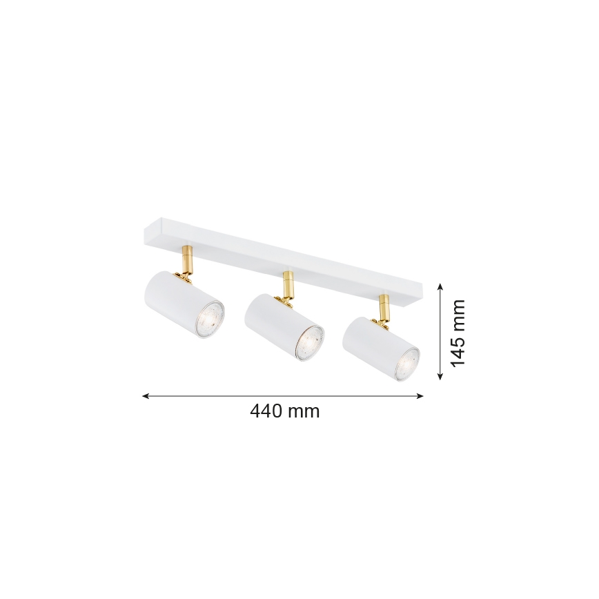 Argon 1475 - Bodové svítidlo LAGOS 3xGU10/5W/230V bílá/zlatá