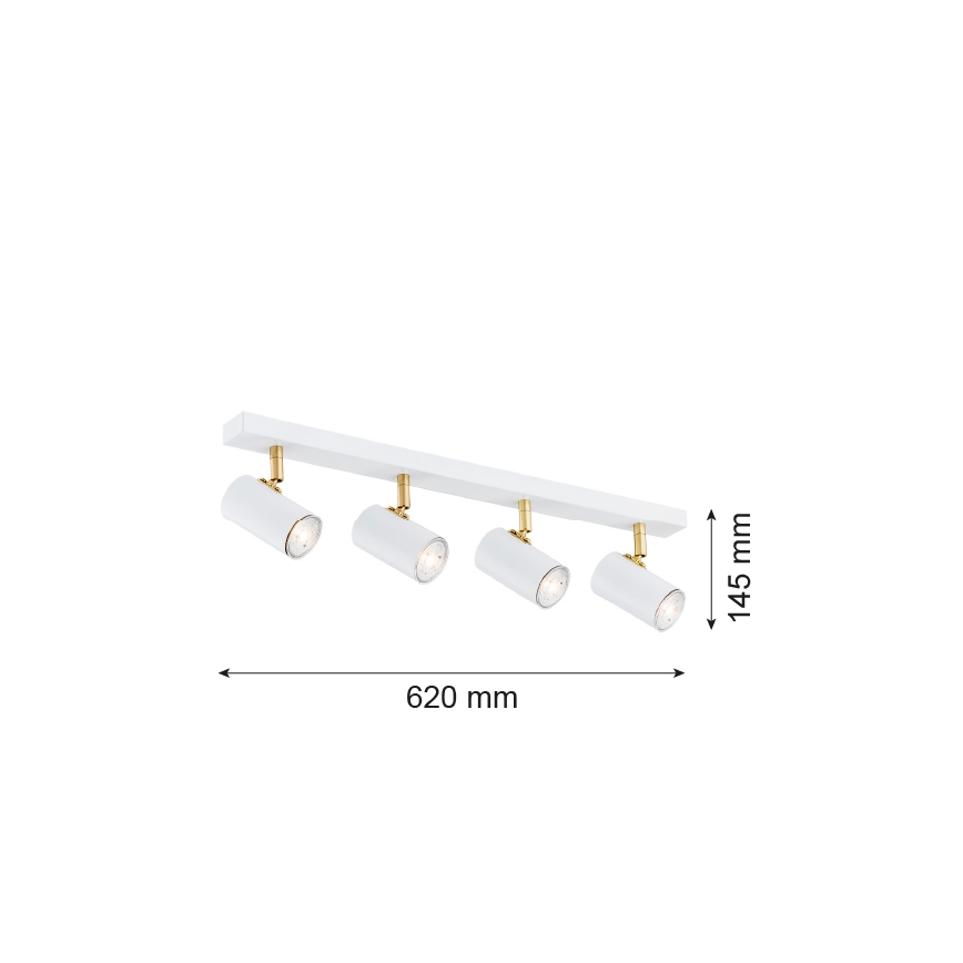 Argon 1689 - Bodové svítidlo LAGOS 4xGU10/5W/230V bílá/zlatá