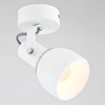 Argon 3587 - Bodové svítidlo FOGO 1xE27/60W/230V Argon 3587 - Bodové svítidlo FOGO 1xE27/60W/230V