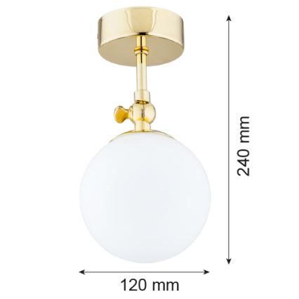 Argon 4001 - Koupelnový přisazený lustr LATINA 1xE14/40W/230V IP44