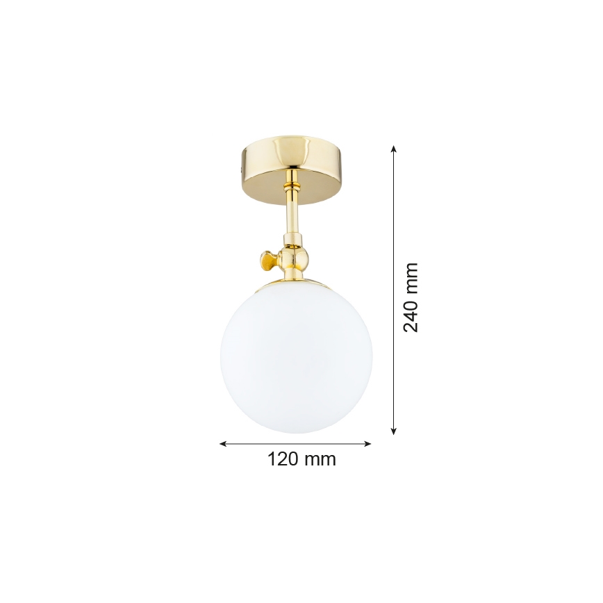 Argon 4001 - Koupelnový přisazený lustr LATINA 1xE14/40W/230V IP44