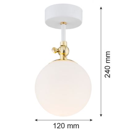 Argon 4002 - Koupelnový přisazený lustr LATINA 1xE14/7W/230V IP44 bílá/zlatá