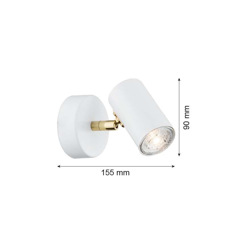 Argon 4209 - Stropní bodové svítidlo LAGOS 1xGU10/5W/230V bílá/zlatá