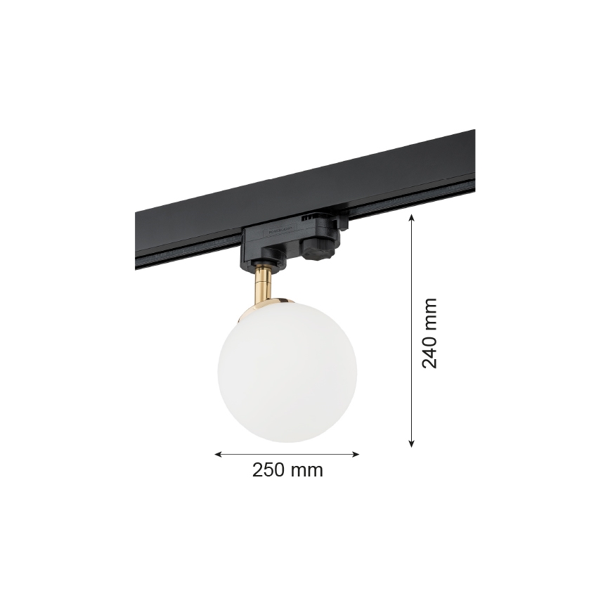 Argon 4307 - Bodové svítidlo do lištového systému BANG 1xG9/6W/230V mosaz
