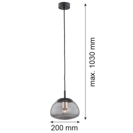 Argon 4333 - Lustr na lanku TRINI 1xE27/15W/230V pr. 20 cm černá