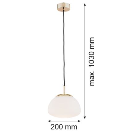 Argon 4352 - Lustr na lanku TRINI 1xE27/15W/230V pr. 20 cm zlatá
