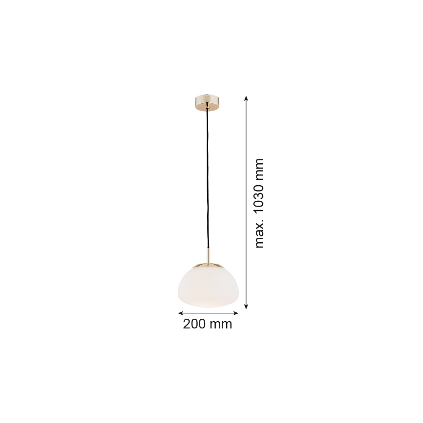 Argon 4352 - Lustr na lanku TRINI 1xE27/15W/230V pr. 20 cm zlatá