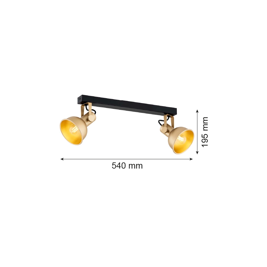 Argon 7144 - Bodové svítidlo LENORA 2xE14/7W/230V zlatá/černá