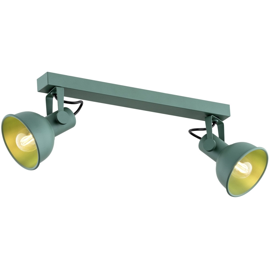 Argon 7174 - Bodové svítidlo LENORA 2xE14/7W/230V zelená