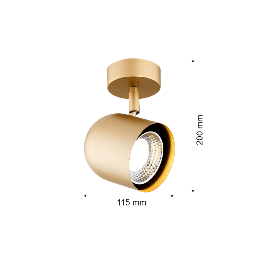 Argon 8260 - Bodové svítidlo ISOLA 1xGU10/5W/230V