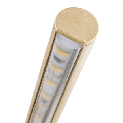 Argon 8599 - LED Obrazové svítidlo MIRIAM LED/10,8W/230V 3000K 60 cm zlatá