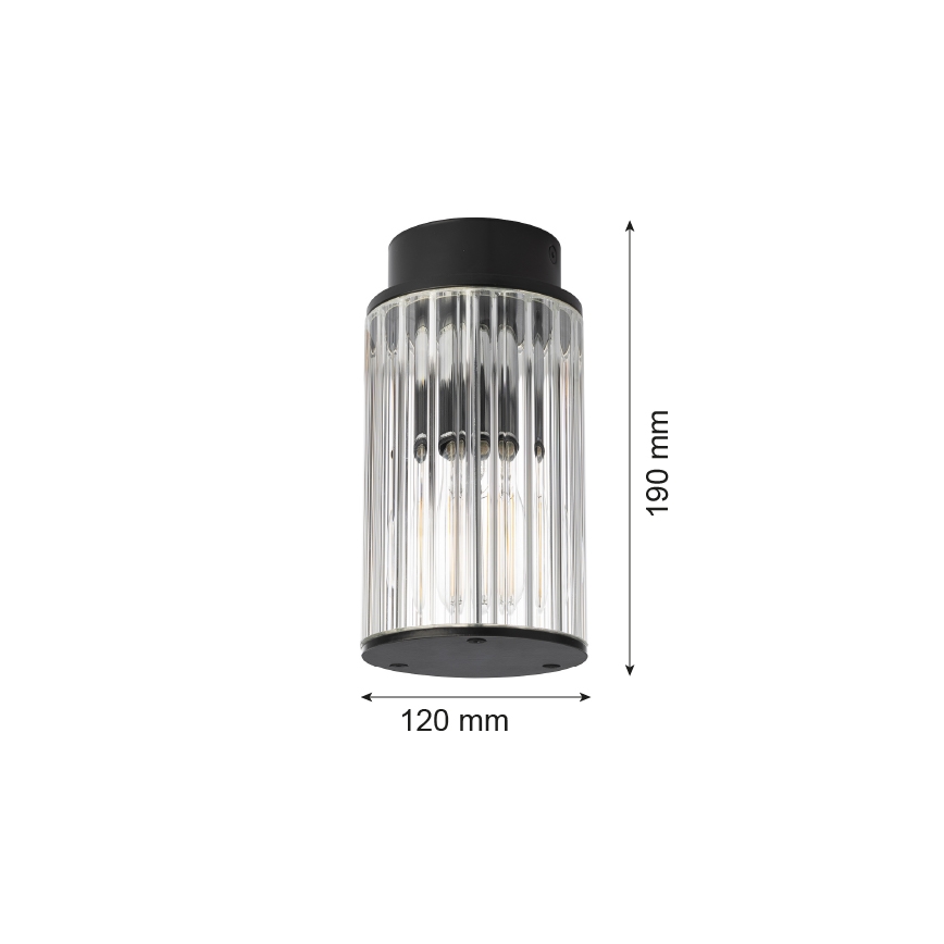 Argon 8773 - Venkovní stropní svítidlo NORFOLK 1xE27/15W/230V IP44 černá