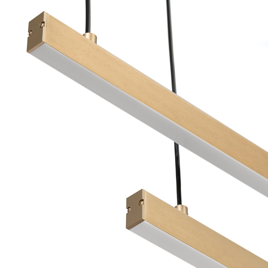 Argon 8839 - LED Lustr na lanku MIAMI LED/74W/230V 3000K zlatá