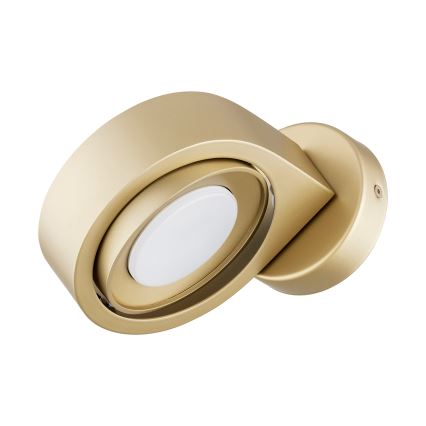 Argon 8899 - Nástěnné svítidlo LOTUS 1xGX53/12W/230V zlatá